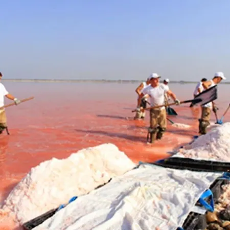 Dom wakacyjny Au Calme Situe En Camargue Saint-Laurent-dʼAigouze