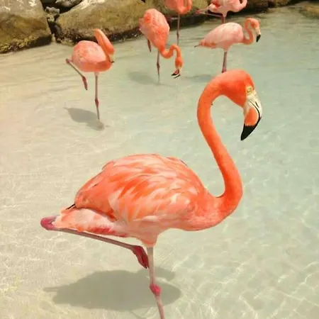 Au Calme Situe En Camargue Saint-Laurent-dʼAigouze