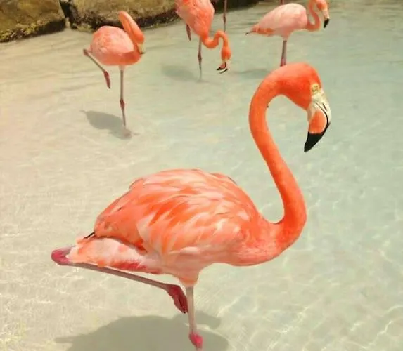 Au Calme Situe En Camargue Saint-Laurent-dʼAigouze
