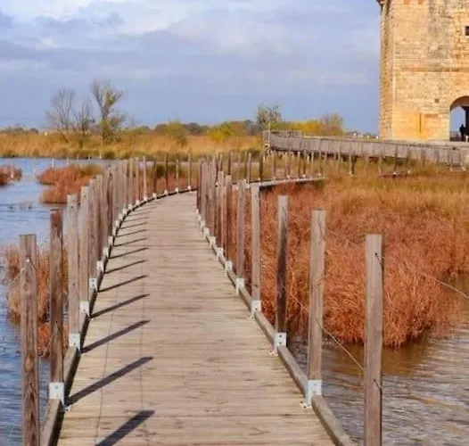 Au Calme Situe En Camargue * Saint-Laurent-dʼAigouze