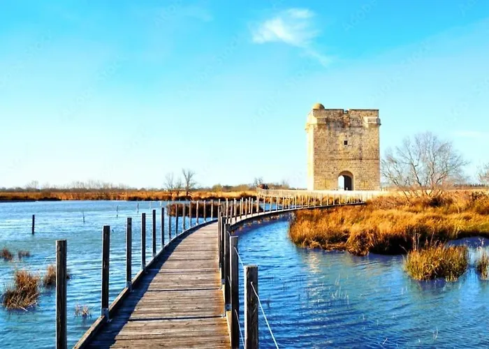 Au Calme Situe En Camargue Ferienhaus *
